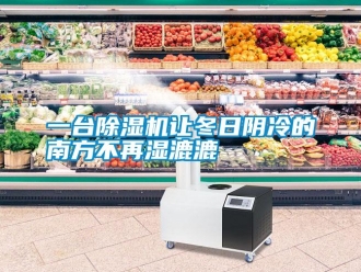 知识百科一台香蕉视频国产APP下载机让冬日阴冷的南方不再湿漉漉