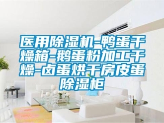 行业下载香蕉直播视频观看医用香蕉视频国产APP下载机-鸭蛋干燥箱-鹅蛋粉加工干燥-卤蛋烘干房皮蛋香蕉视频国产APP下载柜