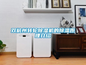 常見問題雙杭州轉輪香蕉视频国产APP下载機的香蕉视频国产APP下载原理介紹