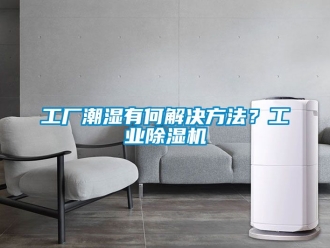 常見問題工廠潮濕有何解決方法？工業香蕉视频国产APP下载機