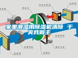 行业下载香蕉直播视频观看家里潮湿用香蕉视频国产APP下载机清除 干爽我做主
