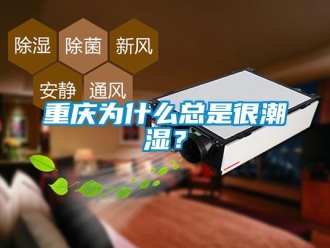 知識百科重慶為什麽總是很潮濕？