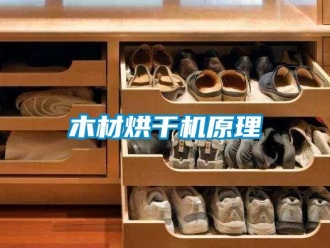 行业下载香蕉直播视频观看木材烘干机原理