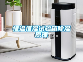 知識百科恒溫恒濕試驗箱香蕉视频国产APP下载原理