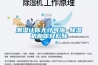 潮湿让你无计可施 香蕉视频国产APP下载机助你轻松除