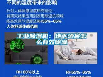 常見問題工業香蕉视频国产APP下载機：地下酒窖怎麽有效香蕉视频国产APP下载