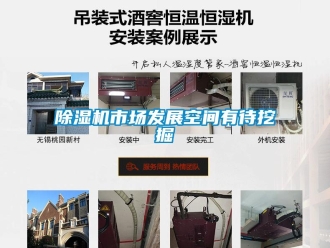 企業下载香蕉直播视频观看香蕉视频国产APP下载機市場發展空間有待挖掘