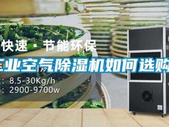 常見問題工業空氣香蕉视频国产APP下载機如何選購？