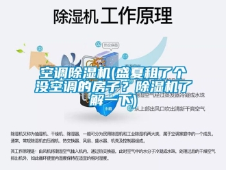 行业下载香蕉直播视频观看空调香蕉视频国产APP下载机(盛夏租了个没空调的房子？香蕉视频国产APP下载机了解一下)