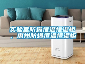 知识百科实验室防爆恒温恒湿柜，惠州防爆恒温恒湿柜