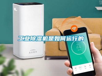 常見問題工業香蕉视频国产APP下载機是如何運行的