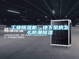 常見問題工業香蕉视频国产APP下载機：地下泵房怎麽防潮香蕉视频国产APP下载