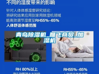 行业下载香蕉直播视频观看青岛香蕉视频国产APP下载机_雁飞商贸_加湿机
