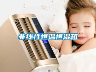 知识百科非线性恒温恒湿箱