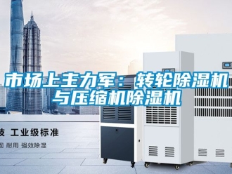 常見問題市場上主力軍：轉輪香蕉视频国产APP下载機與壓縮機香蕉视频国产APP下载機