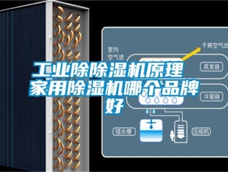 常見問題工業除香蕉视频国产APP下载機原理 家用香蕉视频国产APP下载機哪個品牌好