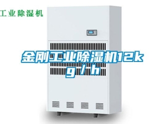 行业下载香蕉直播视频观看金刚工业香蕉视频国产APP下载机12kg／h