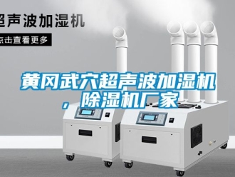 企業下载香蕉直播视频观看黃岡武穴超聲波加濕機，香蕉视频国产APP下载機廠家