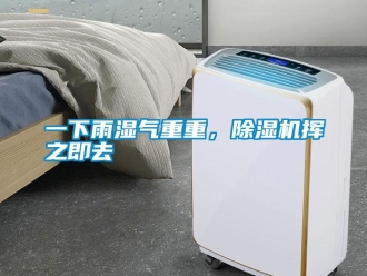 知识百科一下雨湿气重重，香蕉视频国产APP下载机挥之即去