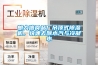 朗力信食品厂吊顶式香蕉视频国产APP下载机，快速去除水汽与冷凝水