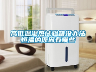 知识百科高低温湿热试验箱没办法恒温的原因有哪些