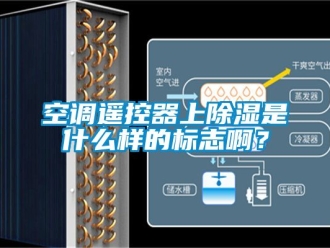 行业下载香蕉直播视频观看空调遥控器上香蕉视频国产APP下载是什么样的标志啊？
