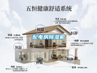 行业下载香蕉直播视频观看配电房香蕉视频国产APP下载机