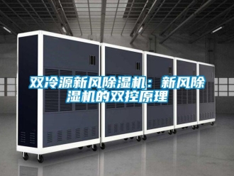 常見問題雙冷源新風香蕉视频国产APP下载機：新風香蕉视频国产APP下载機的雙控原理