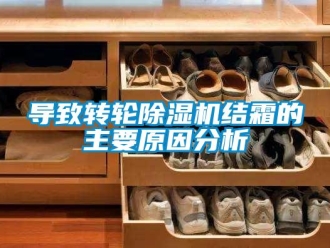 常見問題導致轉輪香蕉视频国产APP下载機結霜的主要原因分析