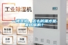 一楼装修，怎么防潮才是最彻底的？