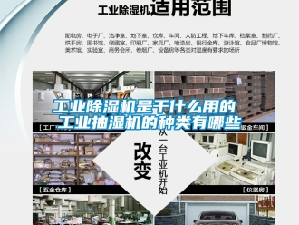 常見問題工業香蕉视频国产APP下载機是幹什麽用的 工業抽濕機的種類有哪些