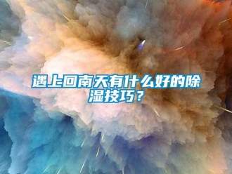 知識百科遇上回南天有什麽好的香蕉视频国产APP下载技巧？