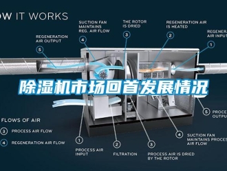 企業下载香蕉直播视频观看香蕉视频国产APP下载機市場回首發展情況