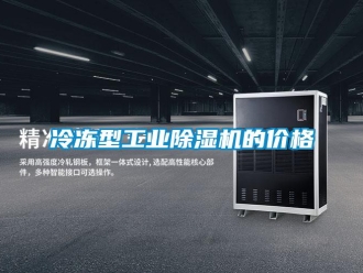 常見問題冷凍型工業香蕉视频国产APP下载機的價格