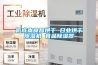 低成本食品烘干 日业烘干香蕉视频国产APP下载机 食品香蕉视频国产APP下载器