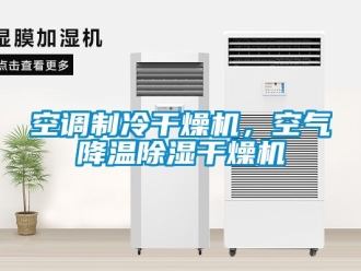 行业下载香蕉直播视频观看空调制冷干燥机，空气降温香蕉视频国产APP下载干燥机