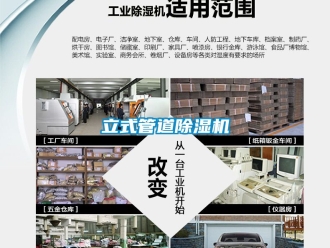 行业下载香蕉直播视频观看立式管道香蕉视频国产APP下载机