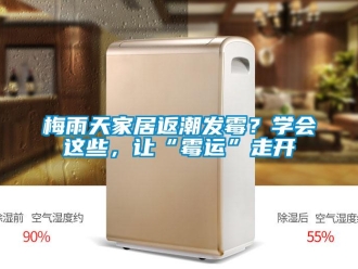 行业下载香蕉直播视频观看梅雨天家居返潮发霉？学会这些，让“霉运”走开