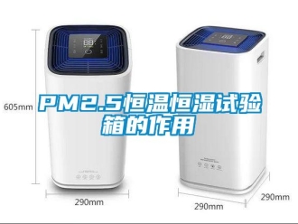 常見問題PM2.5恒溫恒濕試驗箱的作用