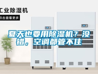 行业下载香蕉直播视频观看夏天也要用香蕉视频国产APP下载机？没错，空调都管不住