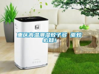 知識百科重慶高溫潮濕蚊子多 驅蚊必知！