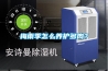 梅雨季怎么养护多肉？