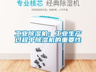 常見問題工業香蕉视频国产APP下载機：工業生產過程中香蕉视频国产APP下载機的重要性