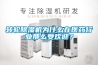 转轮香蕉视频国产APP下载机为什么在医药行业那么受欢迎？