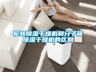 行业下载香蕉直播视频观看轮转香蕉视频国产APP下载干燥机和分子筛香蕉视频国产APP下载干燥机的区别