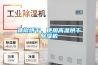 辣椒烘干，使用高温烘干香蕉视频国产APP下载机