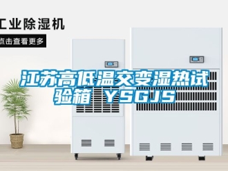 常見問題江蘇高低溫交變濕熱試驗箱 YSGJS