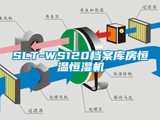 常見問題SLT-WS120檔案庫房恒溫恒濕機