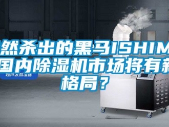 行业下载香蕉直播视频观看突然杀出的黑马ISHIMA,国内香蕉视频国产APP下载机市场将有新格局？