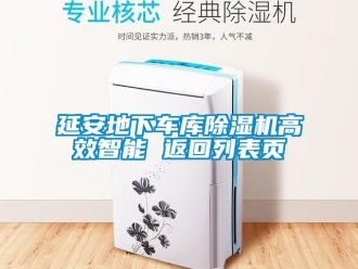 行业下载香蕉直播视频观看延安地下车库香蕉视频国产APP下载机高效智能 返回列表页